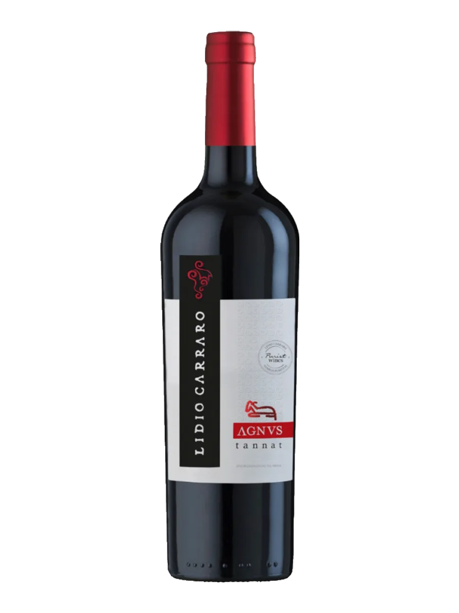 Garrafa do vinho Agnvs Tannat, 100% Tannat 2022, Brasil